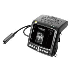 Ультразвуковий ветеринарний сканер KX5200 Vet